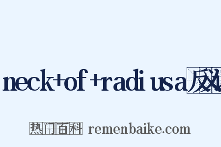 neck+of+radiusa反义词是什么意思的图片